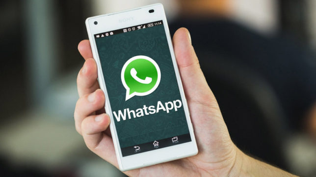 All you need to know WhatsApp